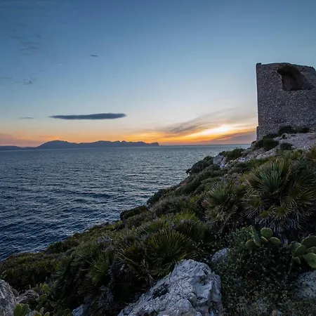 Alojamento de Acomodação e Pequeno-almoço Le Yucche Partinico