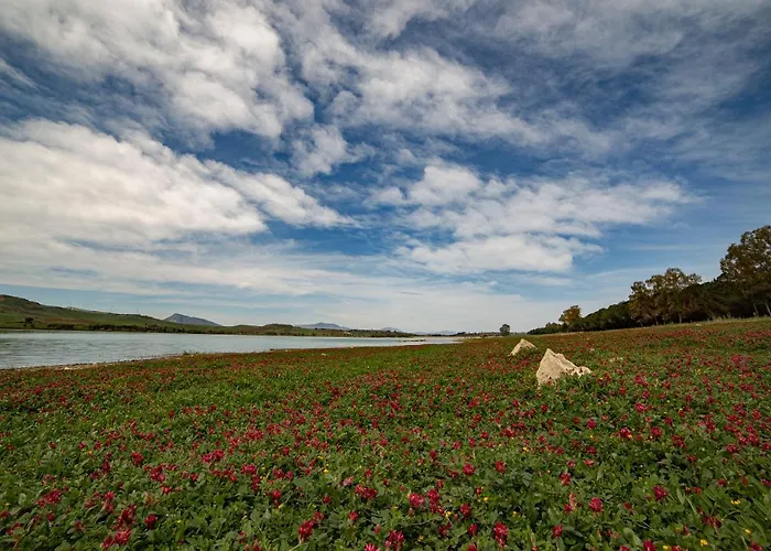 Le Yucche לינה וארוחת בוקר 3*