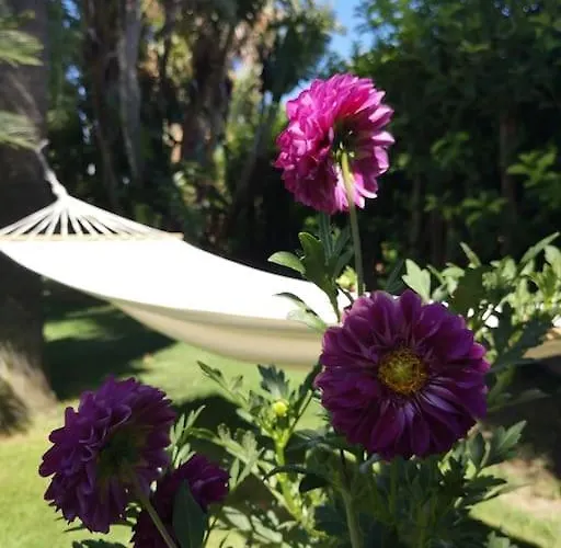 Le Yucche 3* Partinico